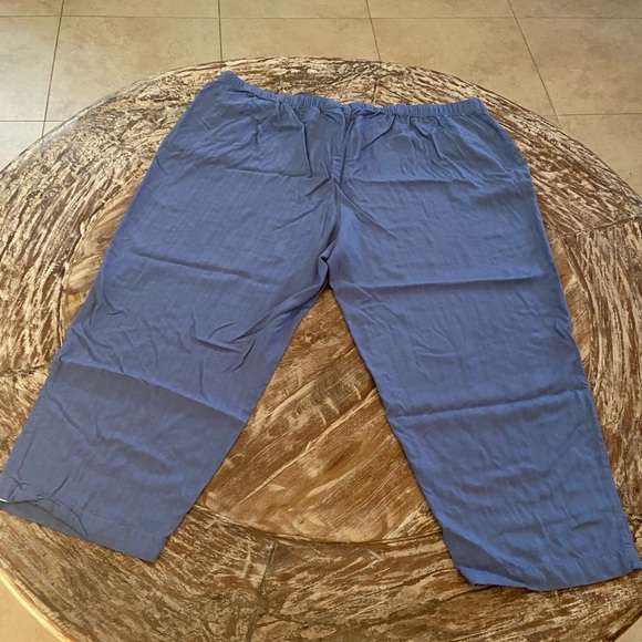 Capri Pants ~ White Stag ~ Plus 26W - Picture 6 of 6